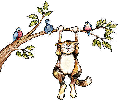 кошка на ветке