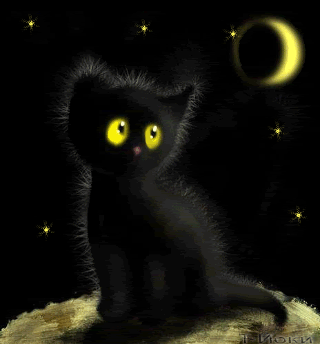 кошка