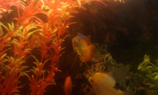 IMAG0057