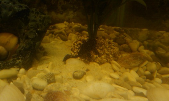 IMAG0063