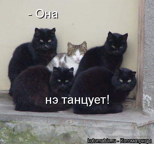 news.txtd