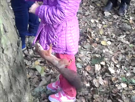 Моментальный снимок 1 (06.10.2013 21-52)