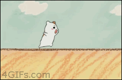 hamster meets turtle