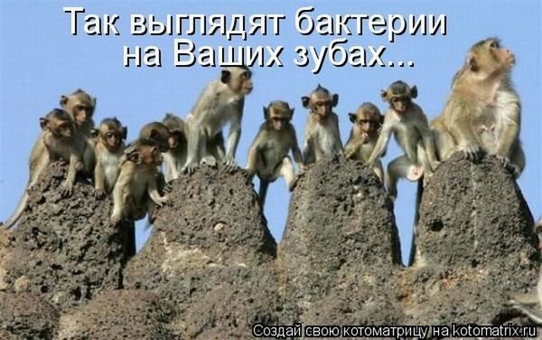 105409280_large_7