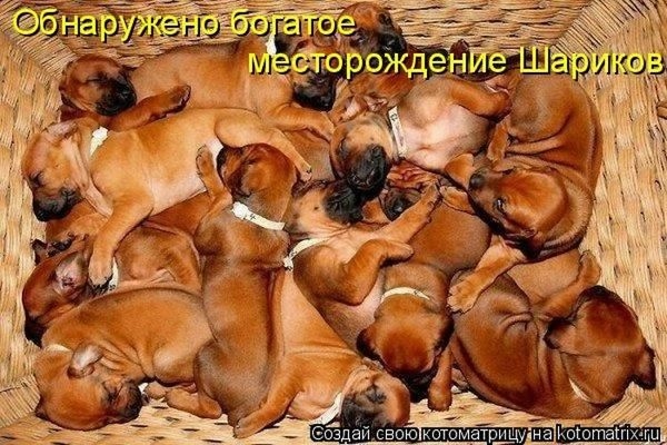 105409283_large_10