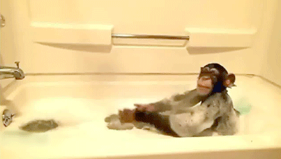 шимпанзе в ванной