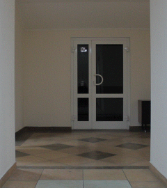 Лунная походка