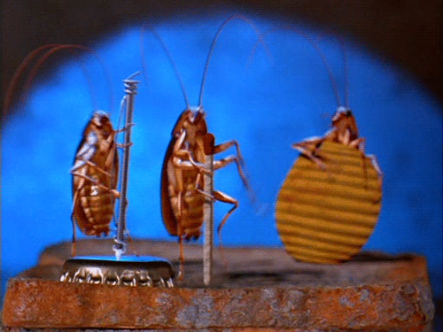 0d1df4dcebaac04014463ae6edeb6b13