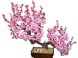68c0522ce09500a6bdf00d8ce75aa73a