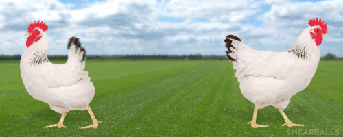 gifs_18