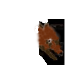 медведь17