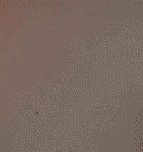 tumblr_mqcsctm3zC1s751bfo1_250