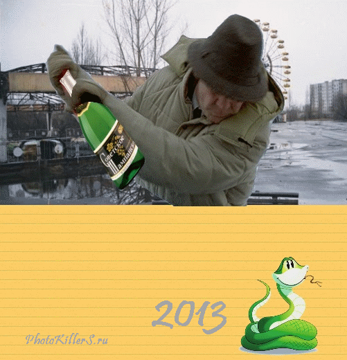Год змеи