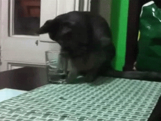 утро