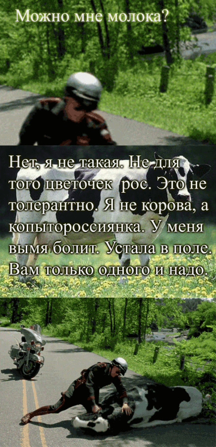 корова