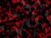 6343028-black-and-red-fur-or-feather-background