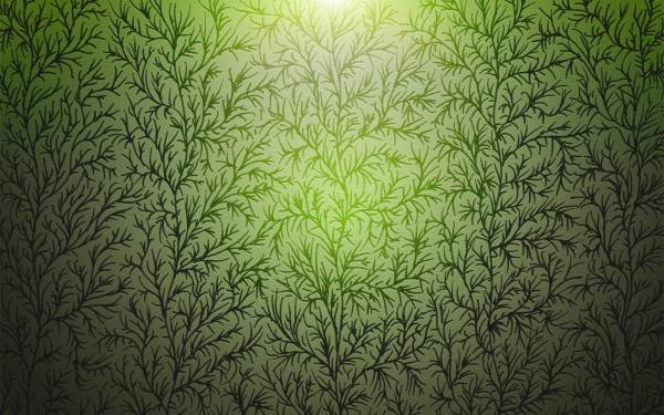 Drawn_wallpapers_Vector_Wallpapers_Branches_of_Wood_Texture_022652_
