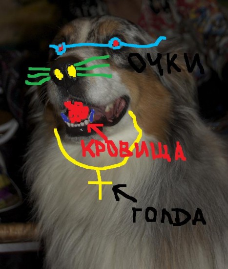 Цобака