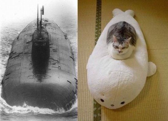 Котэ