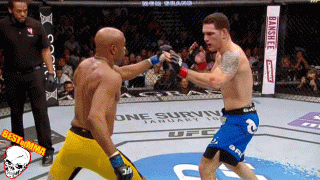 Chris_Weidman_vs_Anderson_Silva2