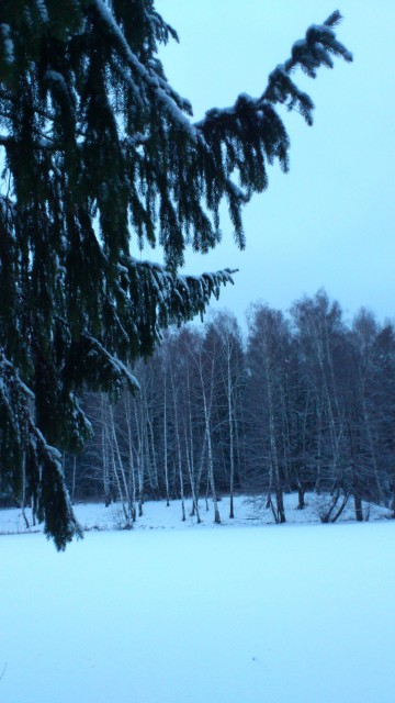 DSC_0076