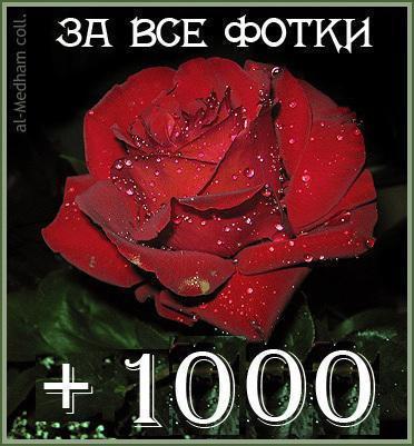 +1000[1]