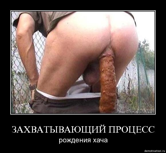 ЗАХВАТЫВАЮЩИЙ ПРОЦЕСС : рождения хача
