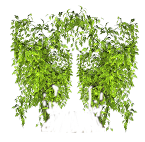 verdeata_zps1879b473