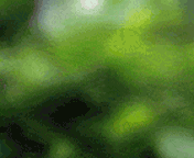 0_10846_cc5de60b_L