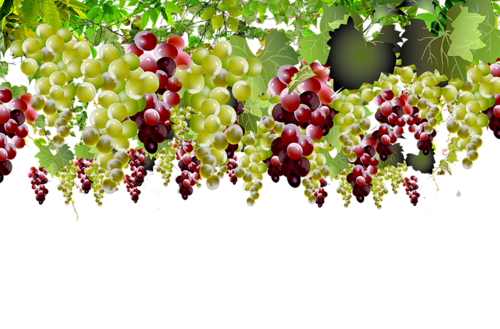 rRN-eY44V2Uu2xsnq4A2mjpIMyw