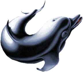 5e70b4a527_85952477_o2