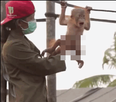 Censored