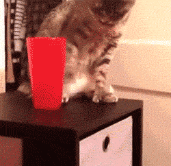 2014_01_24_03_59_i_imgur_com_exweqQq