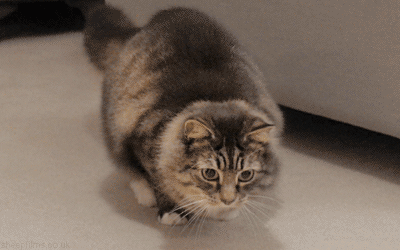 1234