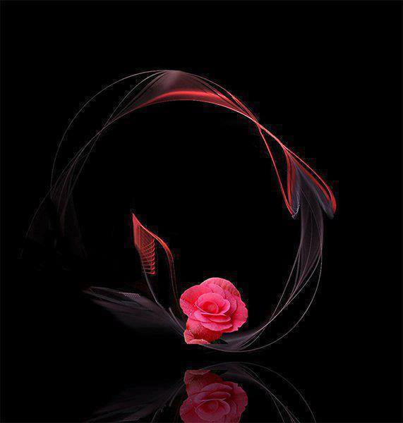 968957_728486487183184_2100923966_n