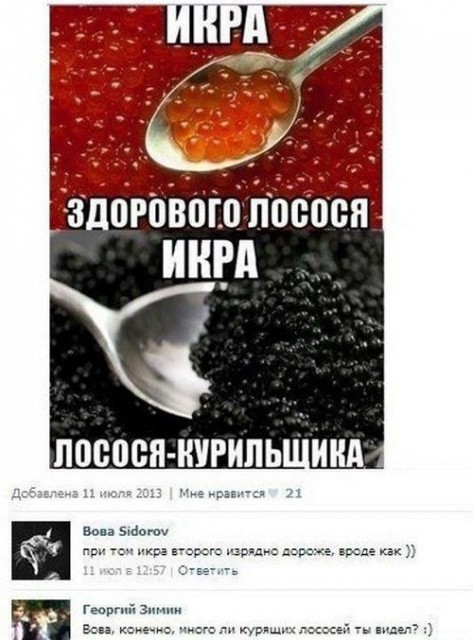 2hMZy79TJnU