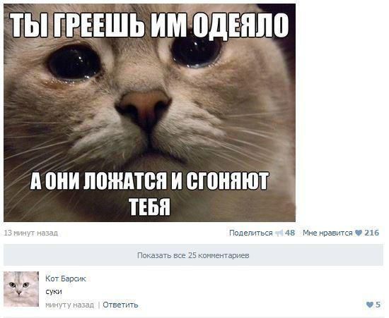 6nZGgf5N7XM