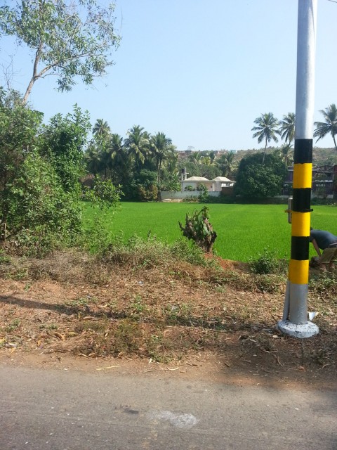 Индия ГОА 2014