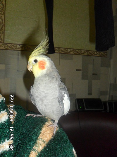 SAM_3179