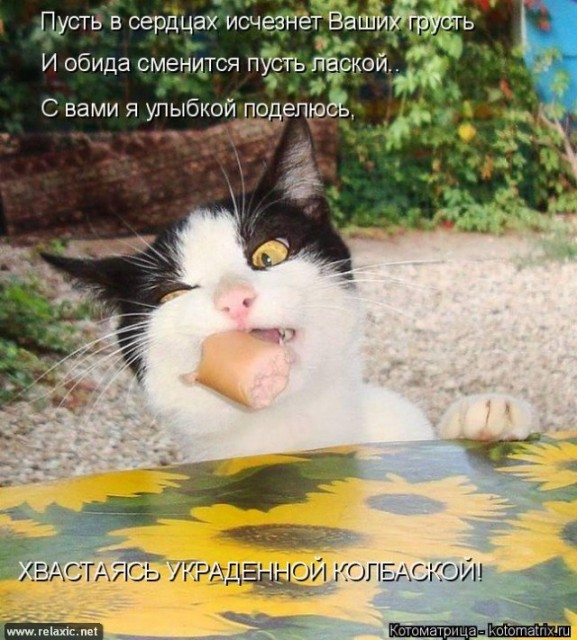 kotomatrix_00125