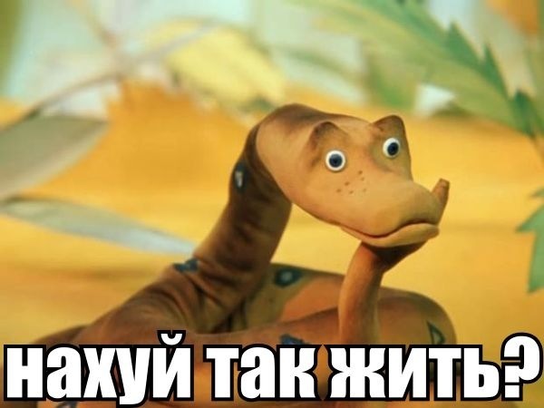 131743219