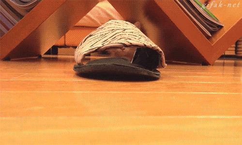 gifs_02