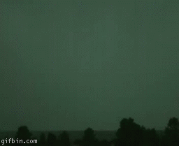 gifko_04