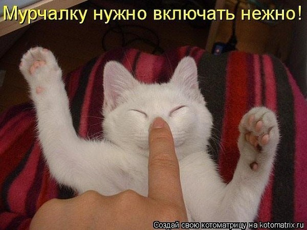 110635924_4f3b5e1ca658