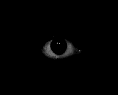 tumblr_ktlfsczQEx1qa793ho1_400
