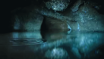 Bonaqua