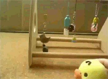 gifs_20