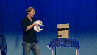 gifs_21