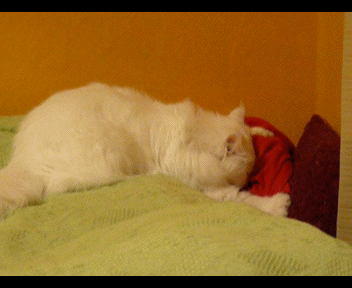 gifs_18(3)