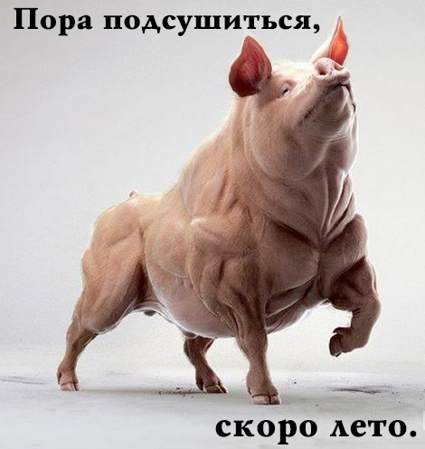 Снимок